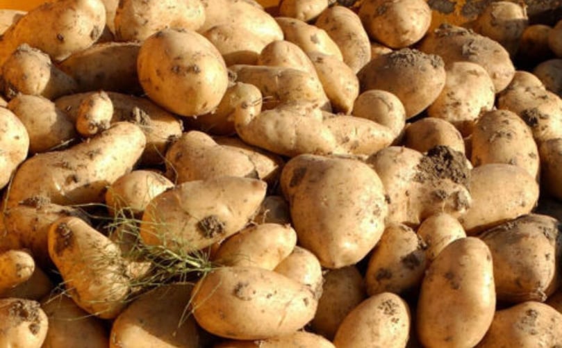 Supermercados mantienen precios estables mientras los productores pierden dinero Supermercados mantienen precios estables mientras los productores pierden dinero