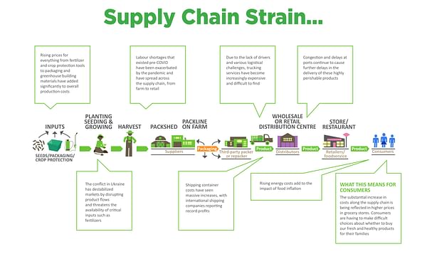 Supply Chain Strain