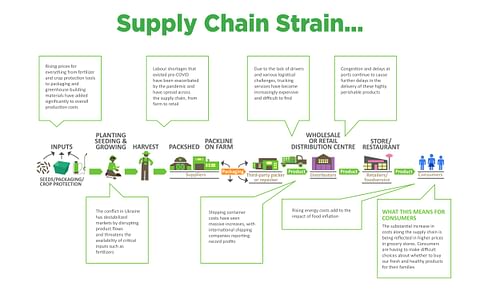 Supply Chain Strain Supply Chain Strain