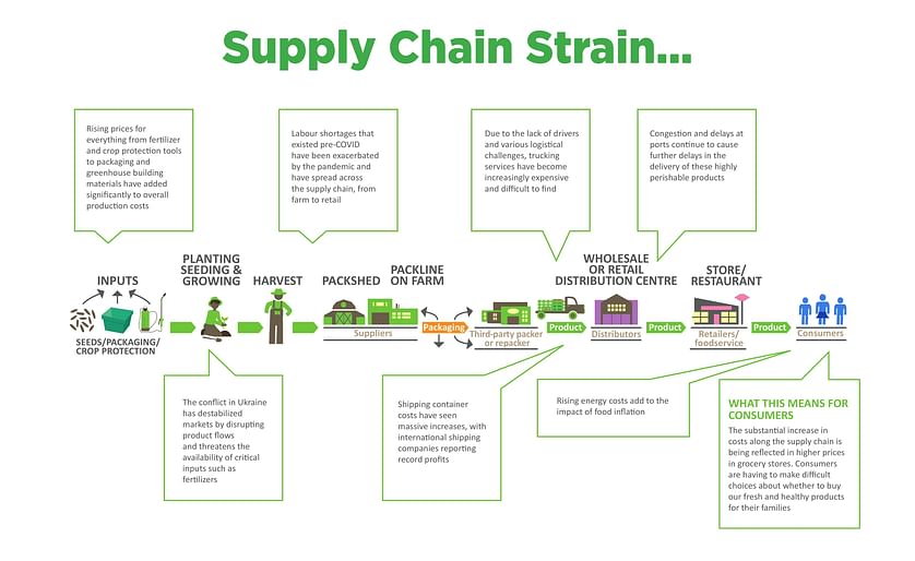 Supply Chain Strain