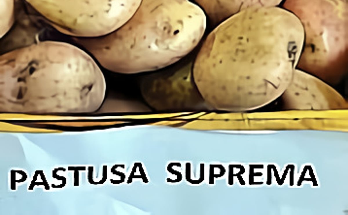 Variedad de papa colombiana Suprema Pastusa Variedad de papa colombiana Suprema Pastusa