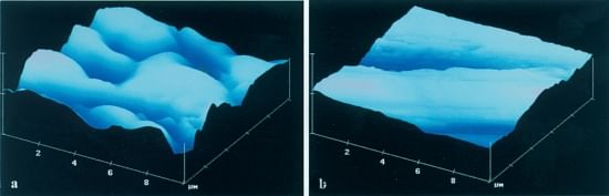 Three-dimensional composites by atomic force microscopy of stainless steel surface finishes: a) standard 2B mill finish and b) sanded/rotary finish (Courtesy of U.S. Environmental Protection Agency’s Ecosystems Research Division)