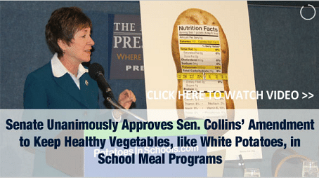 Click for video of Sen Susan Collins introducing her amendment in the US Senate  