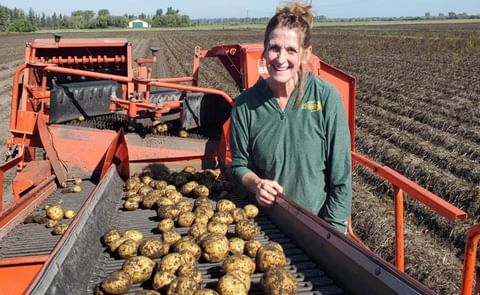 Susie Thompson, NDSU associate professor of potato breeding, developed the new yellow potato ND1241-1Y about 10 years ago, which may be commercially available soon. Susie Thompson, NDSU associate professor of potato breeding, developed the new yellow potato ND1241-1Y about 10 years ago, which may be commercially available soon.