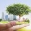 Sustainability