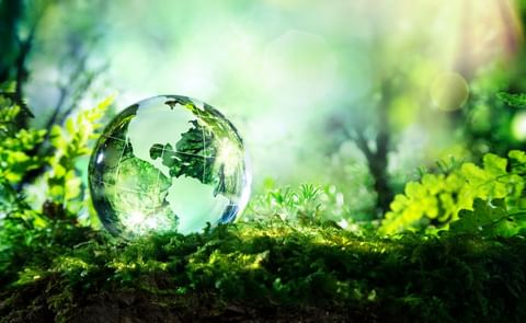 Making The Future Of Food Sustainable Making The Future Of Food Sustainable