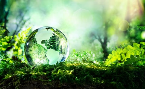 Making The Future Of Food Sustainable Making The Future Of Food Sustainable