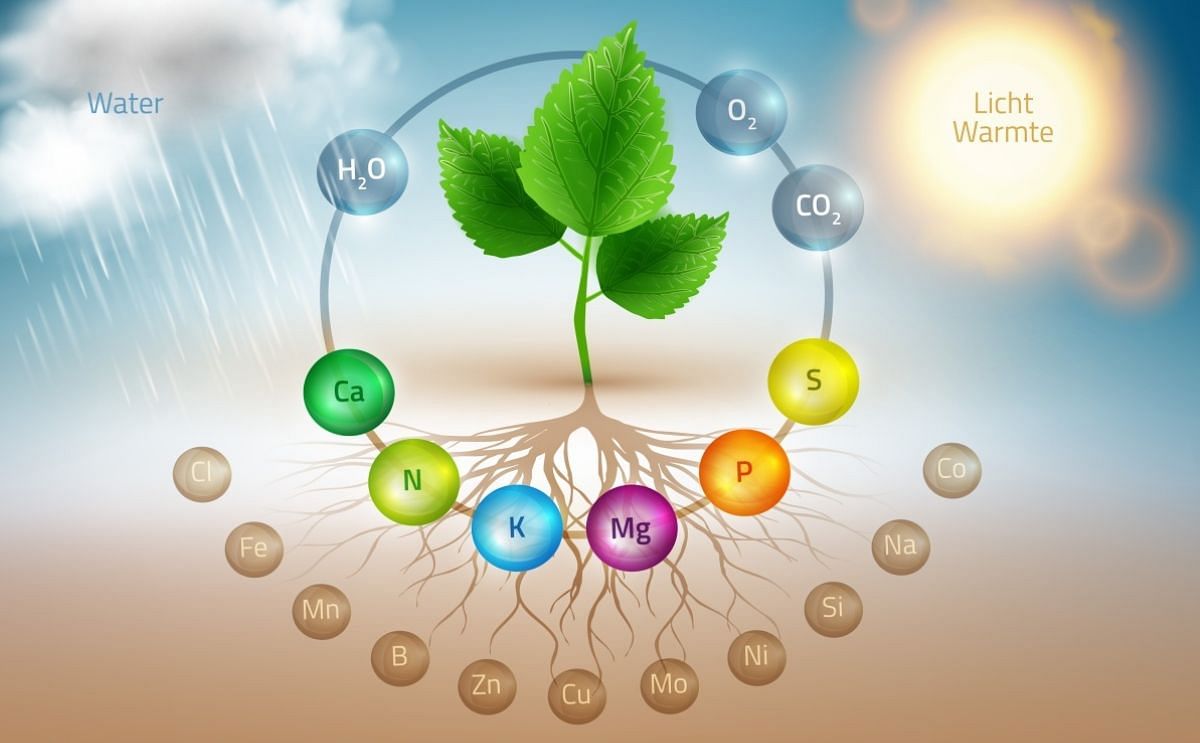 Brand new website about sustainable fertilization of potatoes.