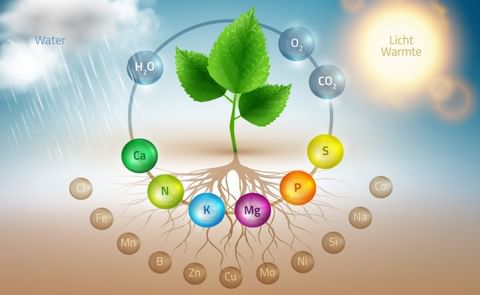 Brand new website about sustainable fertilization of potatoes. Brand new website about sustainable fertilization of potatoes.