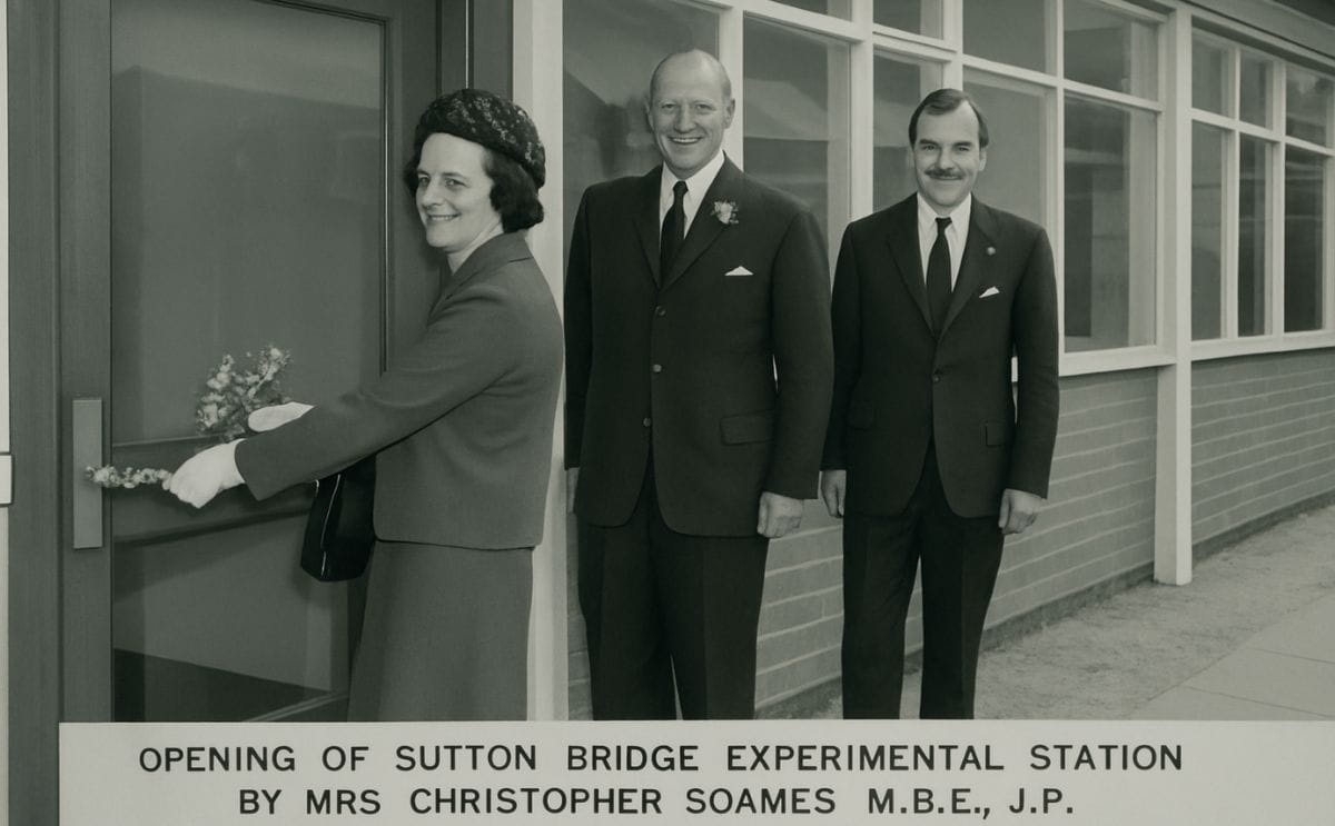 Fifty Years of Potato Storage Research at Sutton Bridge