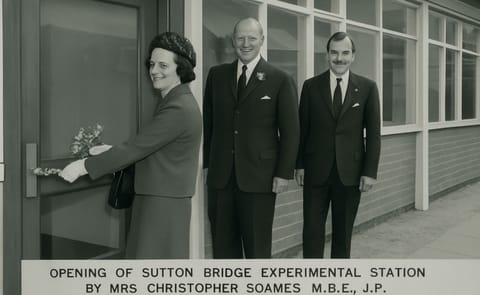 Fifty Years of Potato Storage Research at Sutton Bridge Fifty Years of Potato Storage Research at Sutton Bridge