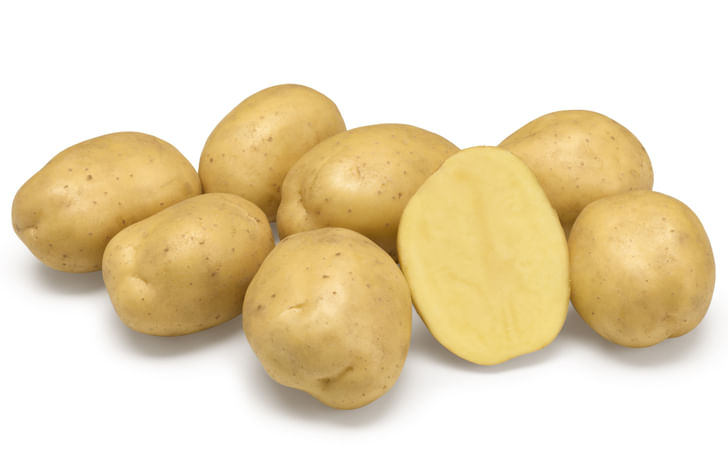 SW 10-8218 SW 10-8218