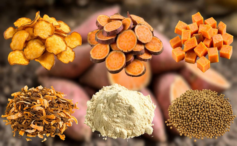 Value-Added Dehydrated Sweet Potato Products Across Food Industry Sectors