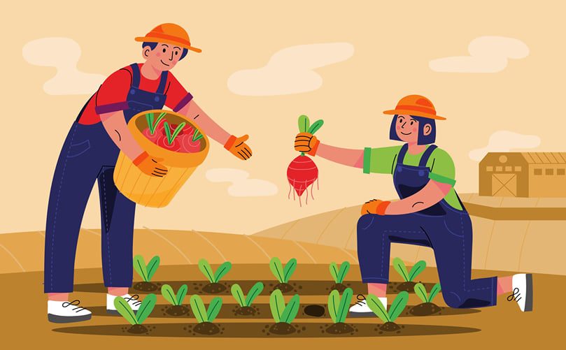 Sweet Potato Production Systems: From Soil to Harvest Sweet Potato Production Systems: From Soil to Harvest
