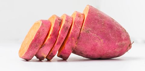 Sweet potato is a tropical plant which, despite its name, is not related to potatoes.
