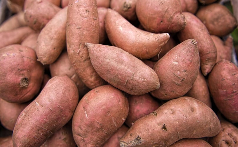 Myth vs Reality: The Ultimate Sweet Potato Nutrition Showdown Myth vs Reality: The Ultimate Sweet Potato Nutrition Showdown