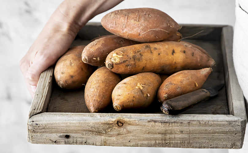 “Sweet Potato (Ipomoea batatas): A Nutrient-Rich Storage Root” “Sweet Potato (Ipomoea batatas): A Nutrient-Rich Storage Root”