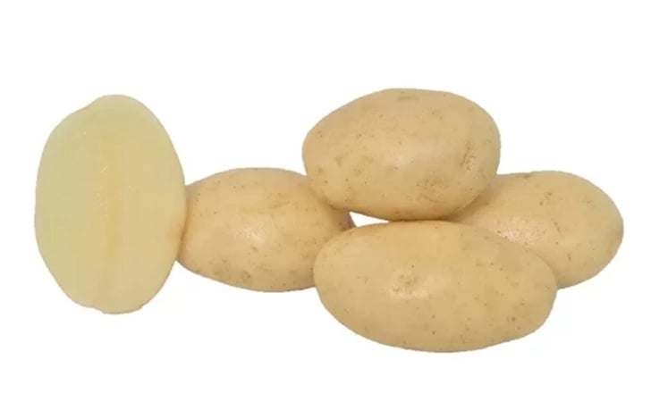 SYNERGY SYNERGY