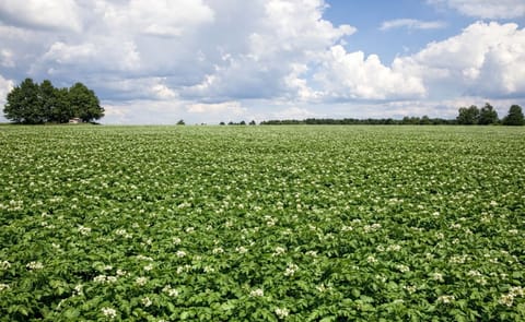 Syngenta response on Monsanto acquisition offer Syngenta response on Monsanto acquisition offer