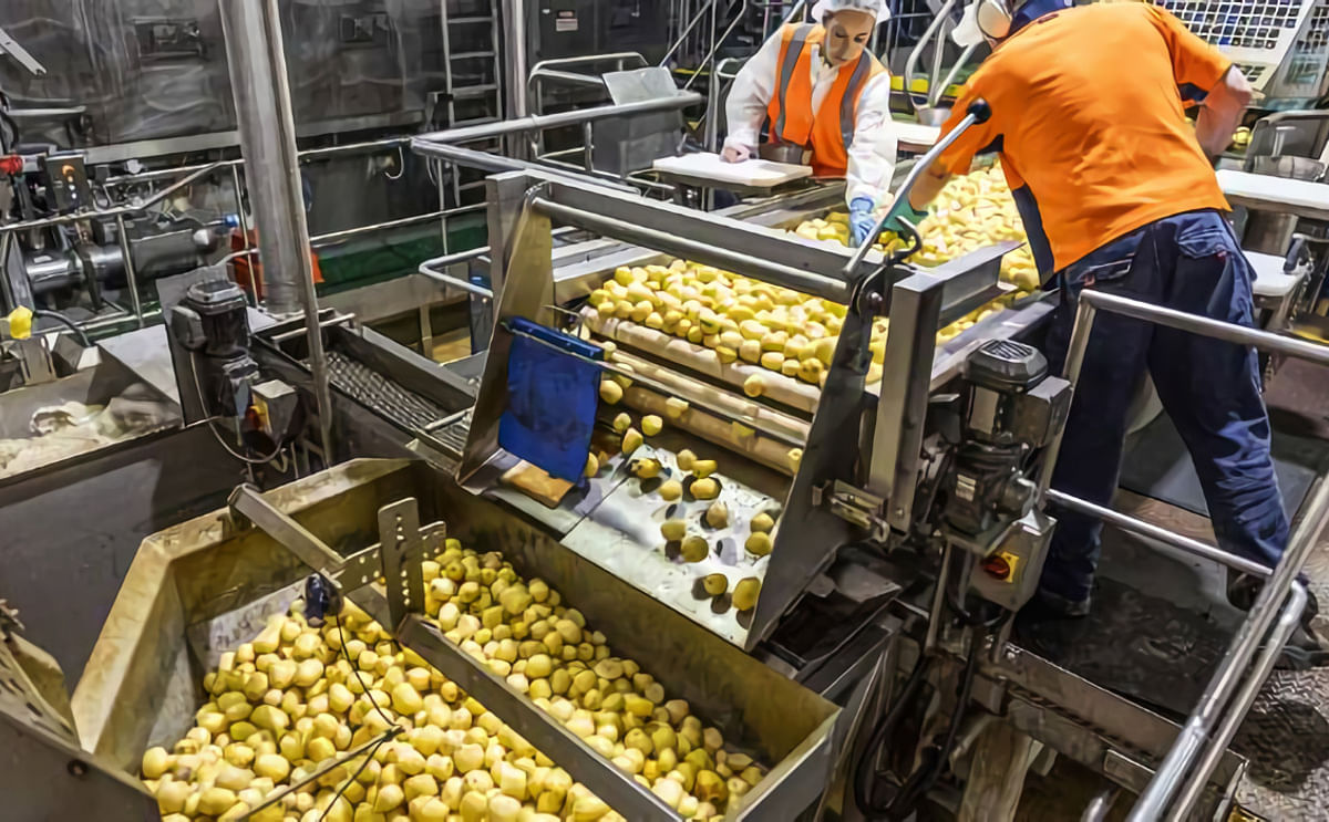 Kiwi chips manufacturer Bluebird bags USD 66m for expansion 