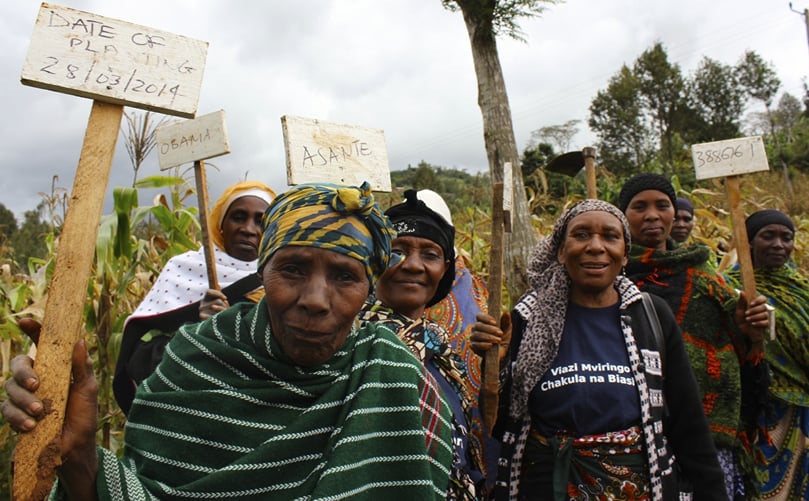 Some of the farmers who trialed climate-smart potato varieties in Lushoto, Tanzania.
(Courtesy: S. Quinn CIP) Some of the farmers who trialed climate-smart potato varieties in Lushoto, Tanzania.
(Courtesy: S. Quinn CIP)