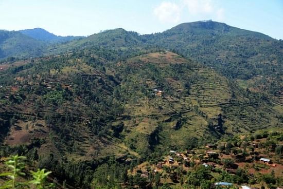 Lushoto is the most densely populated rural district in Tanzania. Situated in the north-east of the country, Lushoto is part of the Tanzanian highlands where potatoes are traditionally grown.
(Courtesy: S. Kilungu, CCAFS)