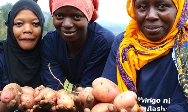 Tanzania Sets Record in Potato Research, to Release Improved Varieties