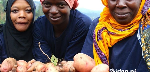 Tanzania Sets Record in Potato Research, to Release Improved Varieties