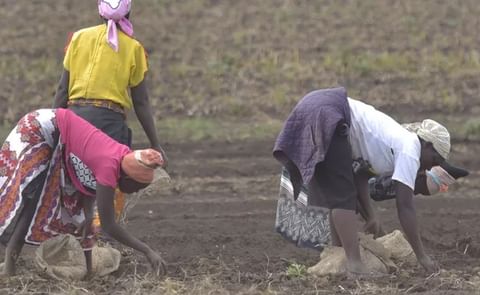 Agrico and Agrico PSA to expand their activities into Tanzania Agrico and Agrico PSA to expand their activities into Tanzania