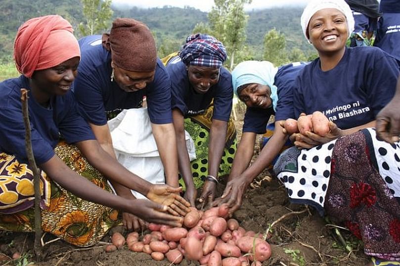 Tanzania signs agreement with The Netherlands to boost Potato Production