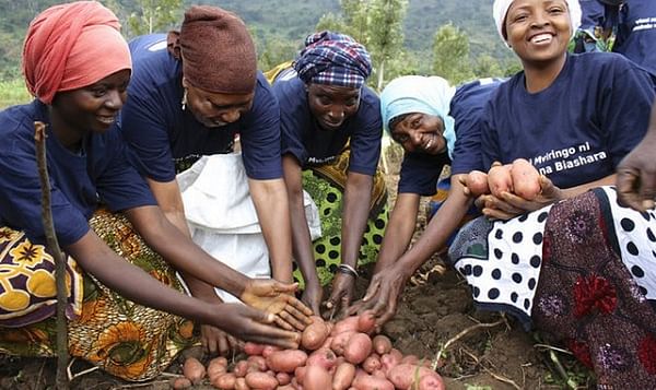 Tanzania signs agreement with The Netherlands to boost Potato Production