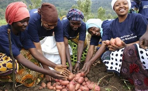 According to research trials by the International Potato Center, the right potato varieties can boost the yield of these potato farmers in Tanzania by as much as a factor ten (Courtesy: CGIAR) According to research trials by the International Potato Center, the right potato varieties can boost the yield of these potato farmers in Tanzania by as much as a factor ten (Courtesy: CGIAR)