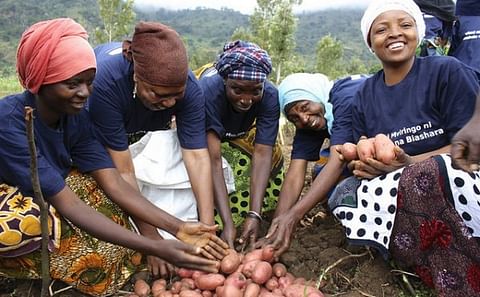 According to research trials by the International Potato Center, the right potato varieties can boost the yield of these potato farmers in Tanzania by as much as a factor ten (Courtesy: CGIAR)