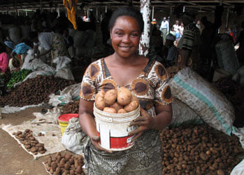Potato – an important source of income for Tanzanian women Potato – an important source of income for Tanzanian women