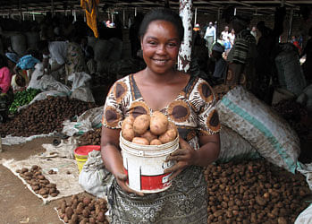 Potato – an important source of income for Tanzanian women Potato – an important source of income for Tanzanian women