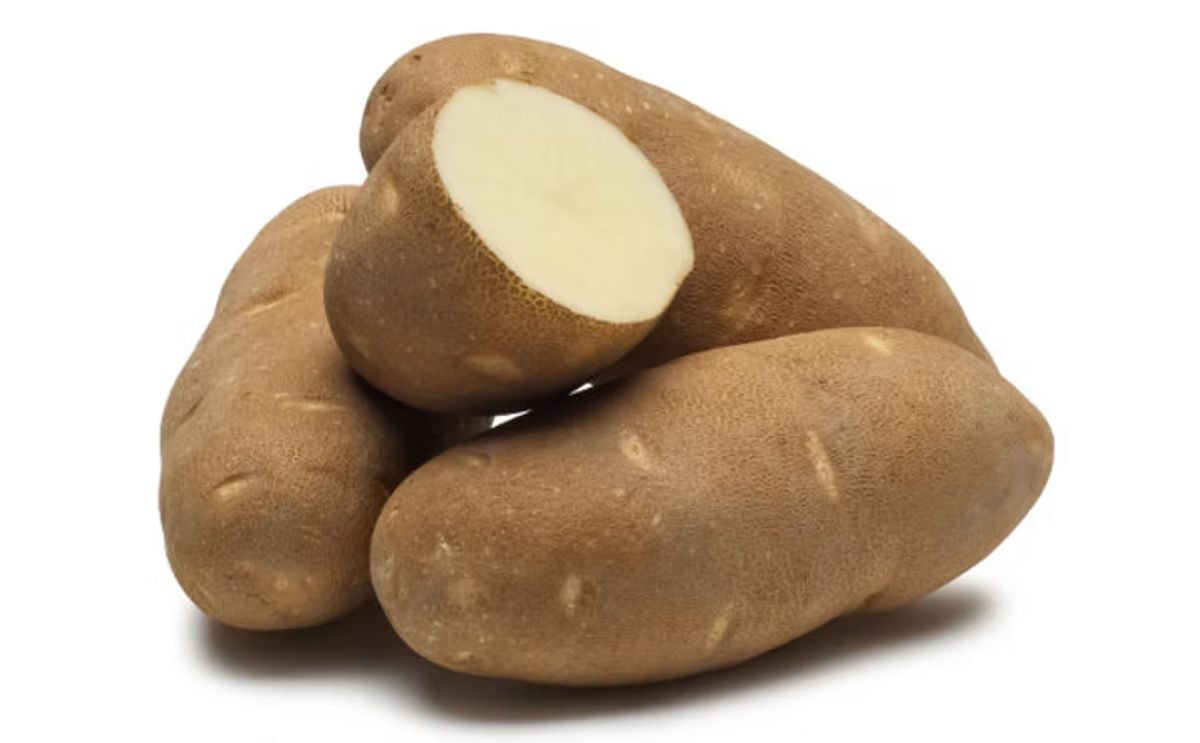 TARGHEE RUSSET