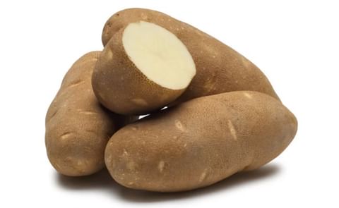 TARGHEE RUSSET TARGHEE RUSSET