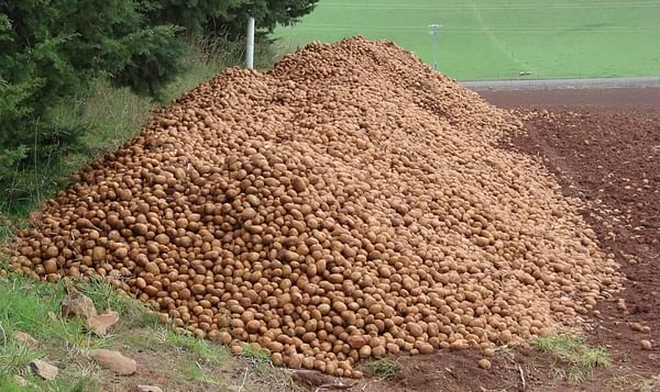 Simplot agreed to take surplus potatoes in Tasmania