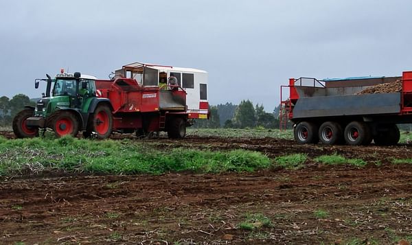 Tasmanian Potato Growers agree three year contract with Simplot