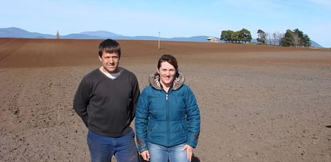 Tasmanian growers urge McCain Foods to raise potato prices 10 per cent