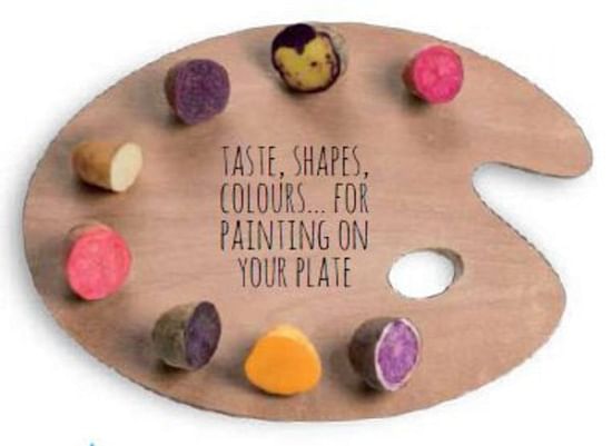 Taste, Shapes, Colours for painting on your plate