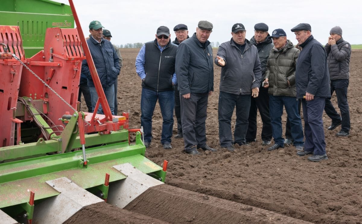 A Potato processing plant is planned to be built in Tatarstan, Russia