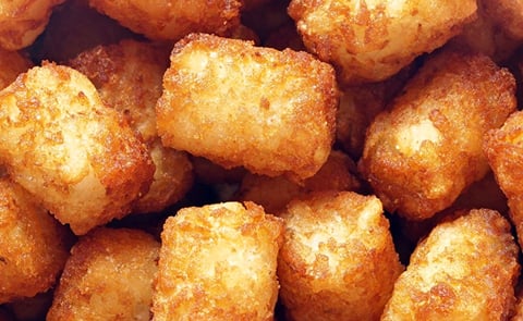 Ore-Ida made its name as processor of frozen potato products by the invention of the tater-tot in 1953 Ore-Ida made its name as processor of frozen potato products by the invention of the tater-tot in 1953