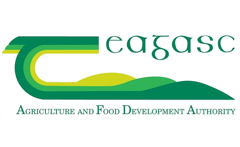 The Environmental Protection Agency (EPA) has today given consent to Teagasc, Oak Park, Co Carlow, to carry out field trials on a genetically modified (GM) potato line with improved resistance to late potato blight.