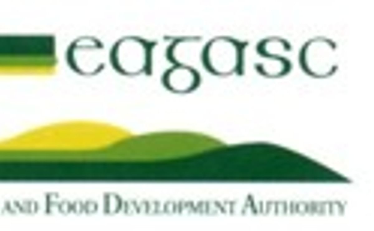 Teagasc GM potato study to begin second phase