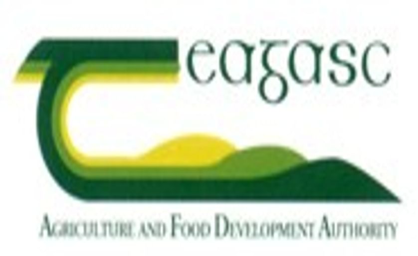 Teagasc GM potato study to begin second phase