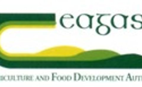 What's in potato peels? What's in potato peels?