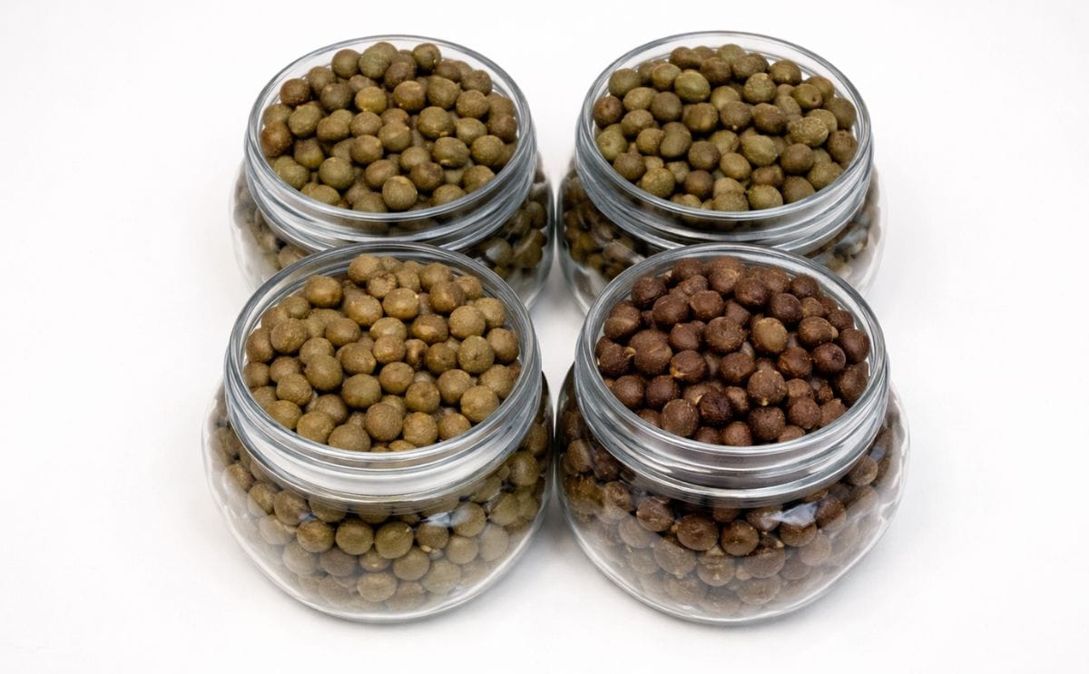 technituber seed technituber seed