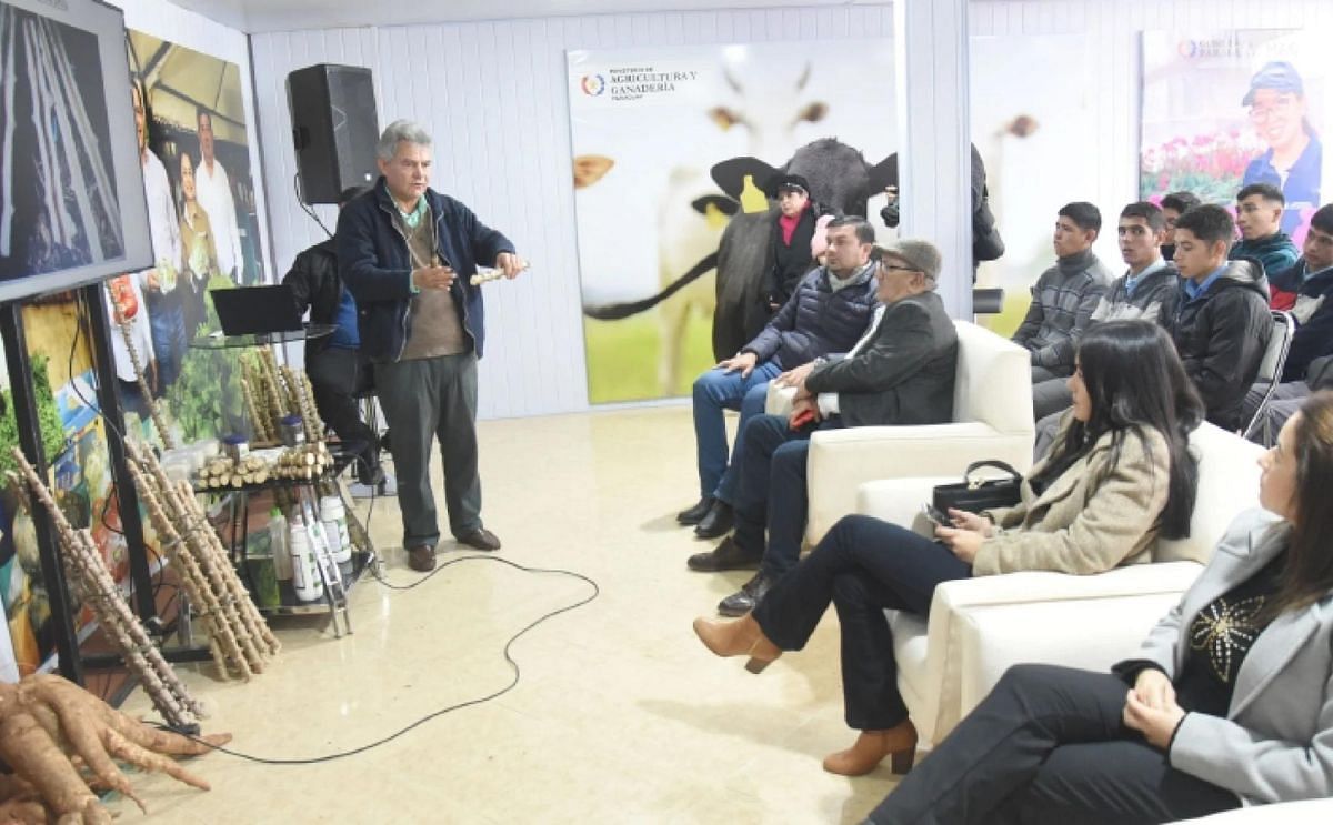 Técnicas. El MAG brindó una charla sobre mandioca. Técnicas. El MAG brindó una charla sobre mandioca.
