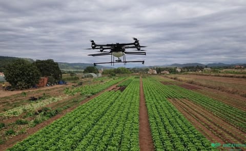 Telefónica Colombia y FAO presentan piloto ‘Smart Agro’ Telefónica Colombia y FAO presentan piloto ‘Smart Agro’